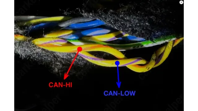 CAN HI / CAN LO (Connection 1)